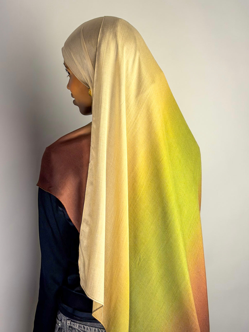 Earthy Ombre Print