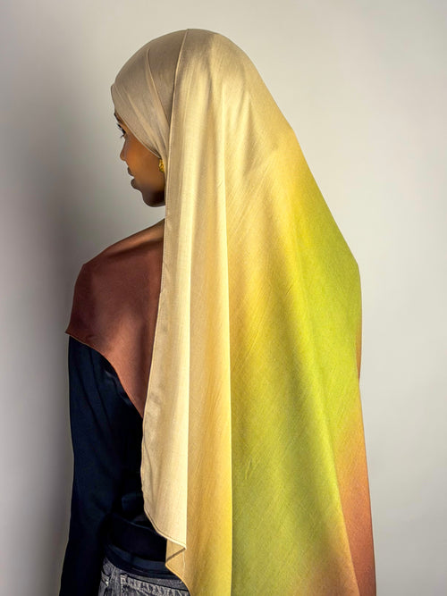 Earthy Ombre Print